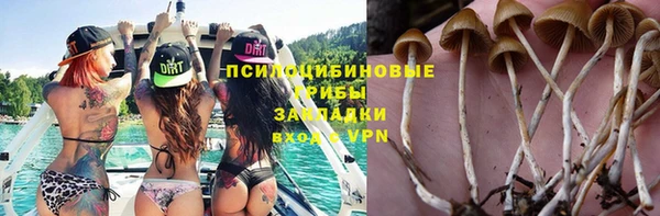 спайс Абинск