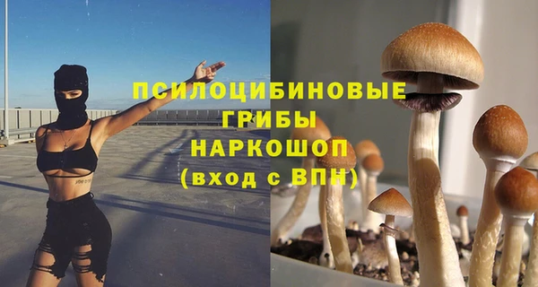 стаф Протвино